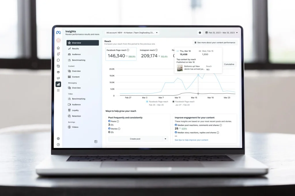 Meta Insights dashboard